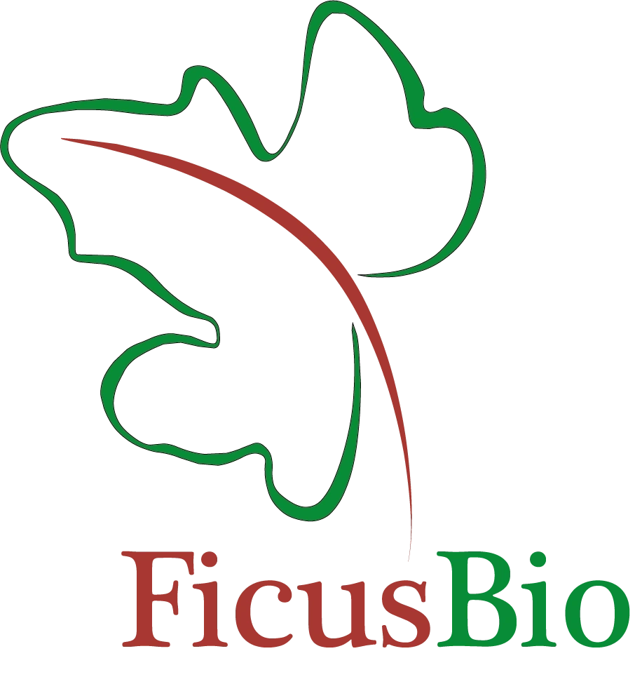 FICUS