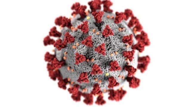 Metagenomics