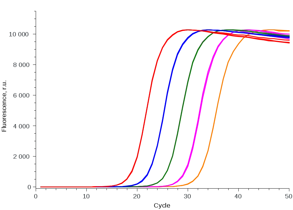 qPCR analysis