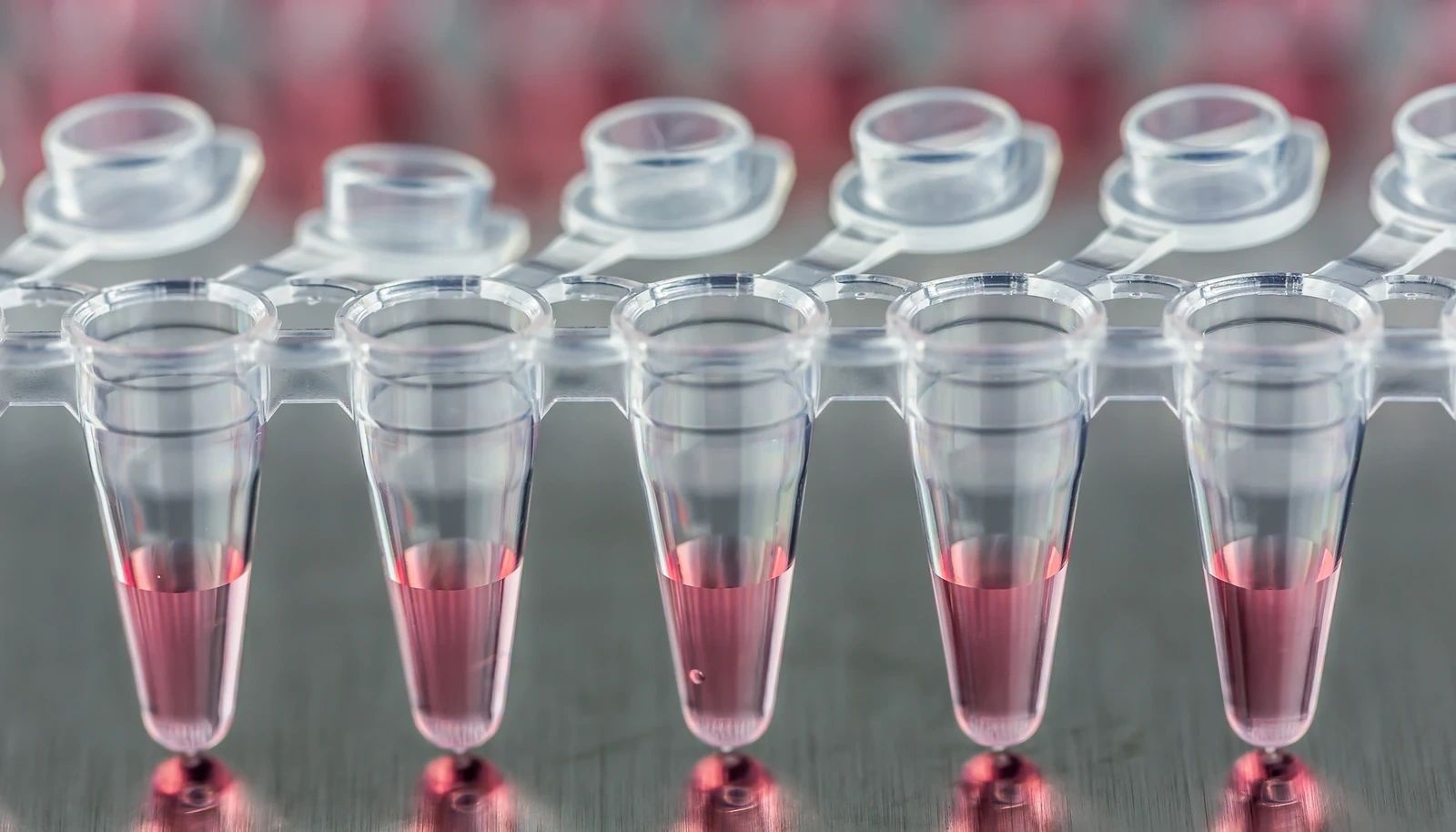 Sample vials